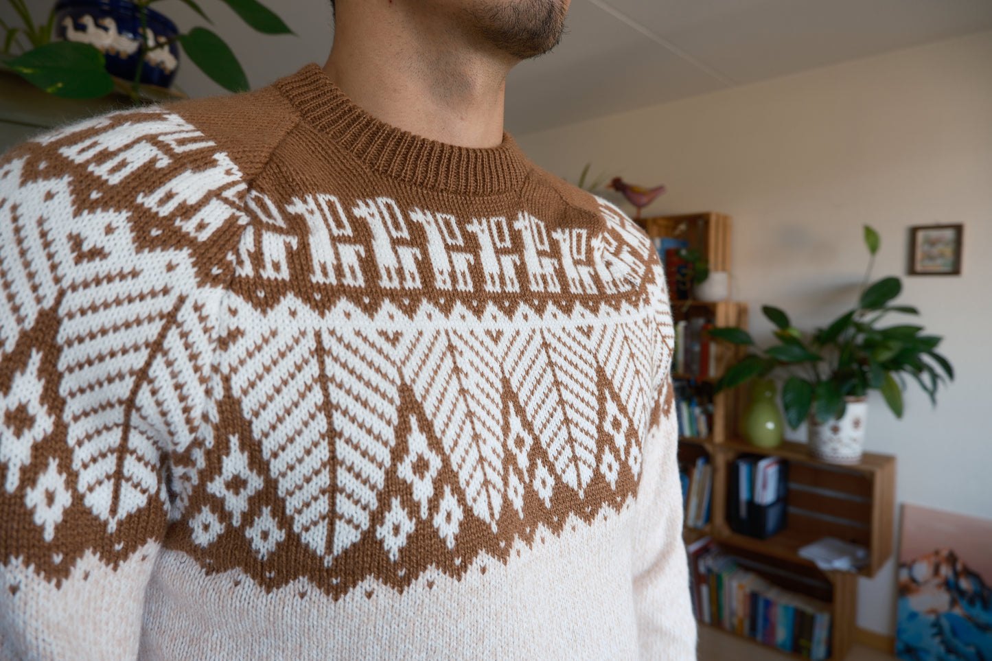 SELVA Pullover Beige