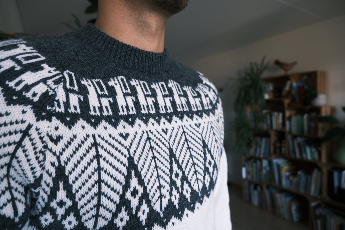 SELVA Pullover Weiss-Grau