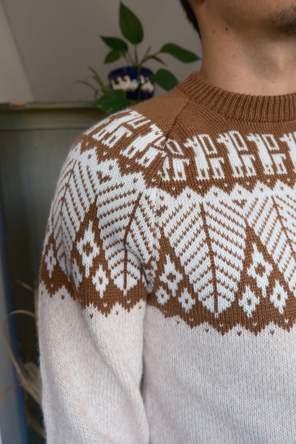 SELVA Pullover Beige