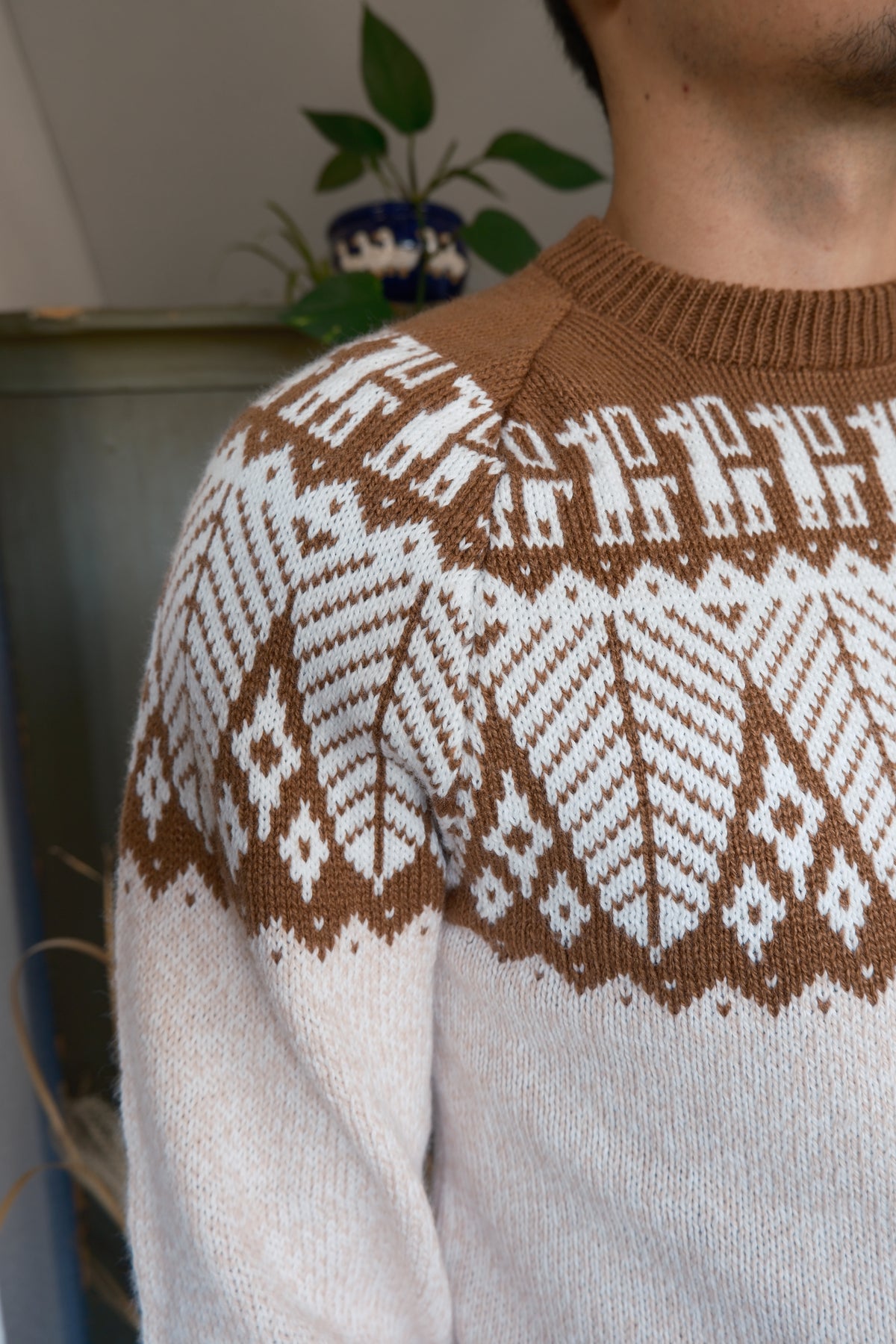 SELVA Pullover Beige