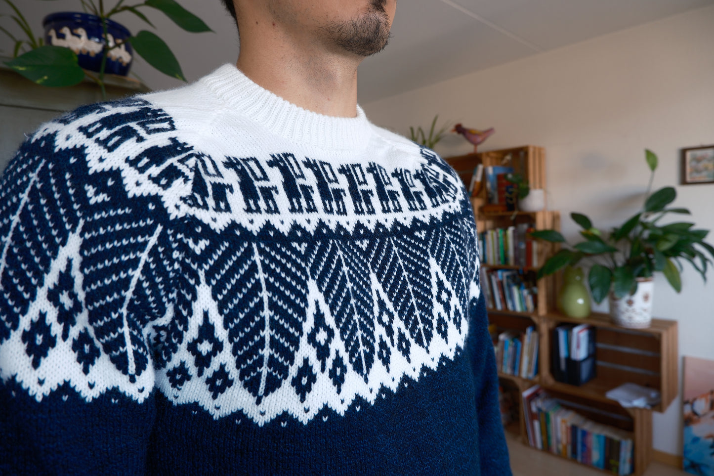 SELVA Pullover Blau-Weiss