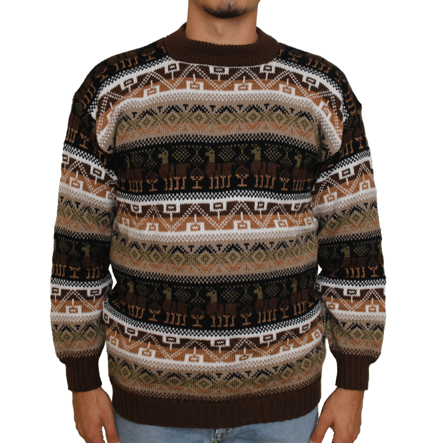 COLORADO Pullover Braun