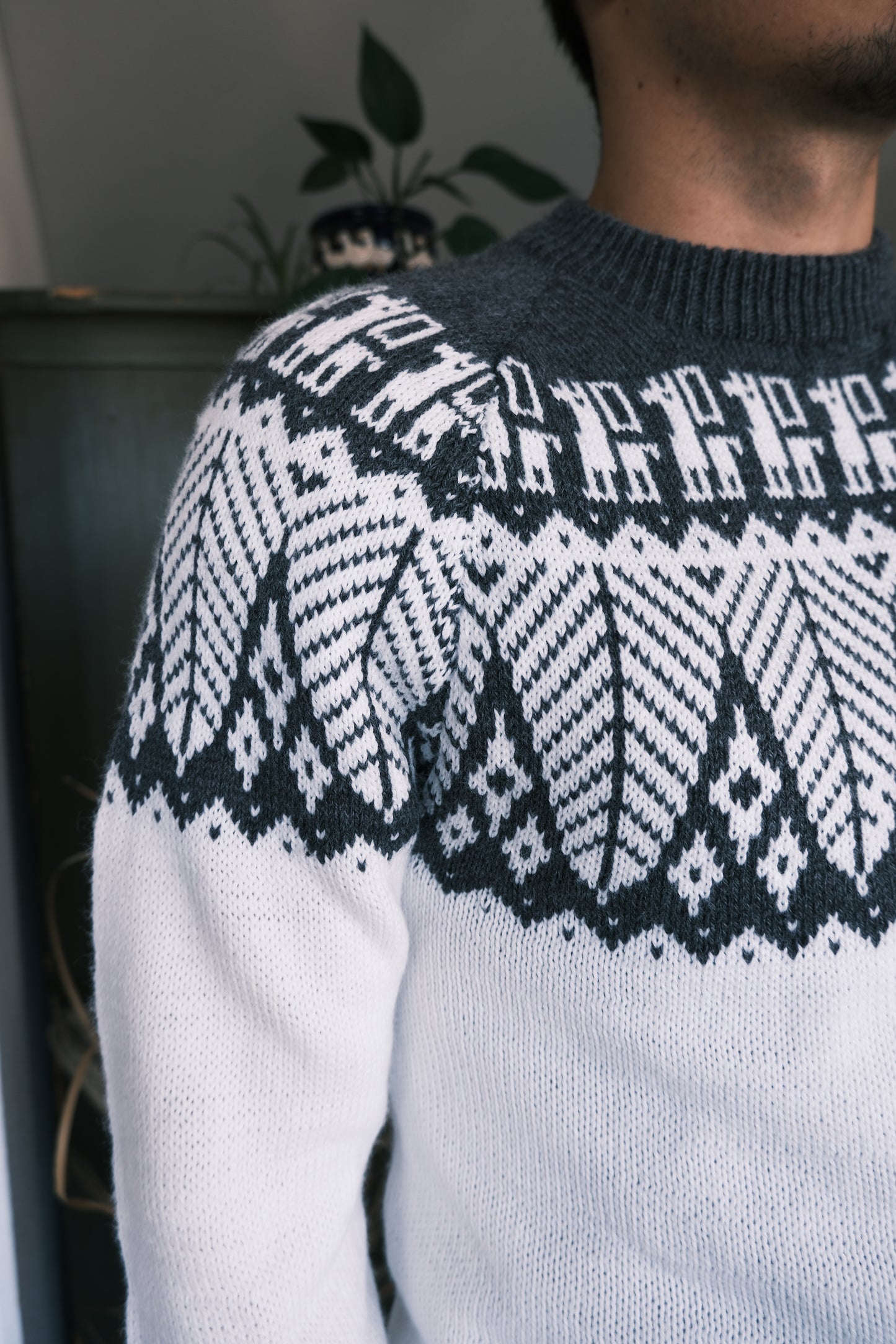 SELVA Pullover Weiss-Grau